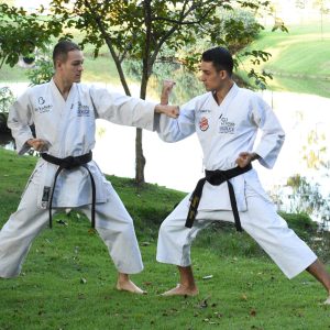 Martial Arts