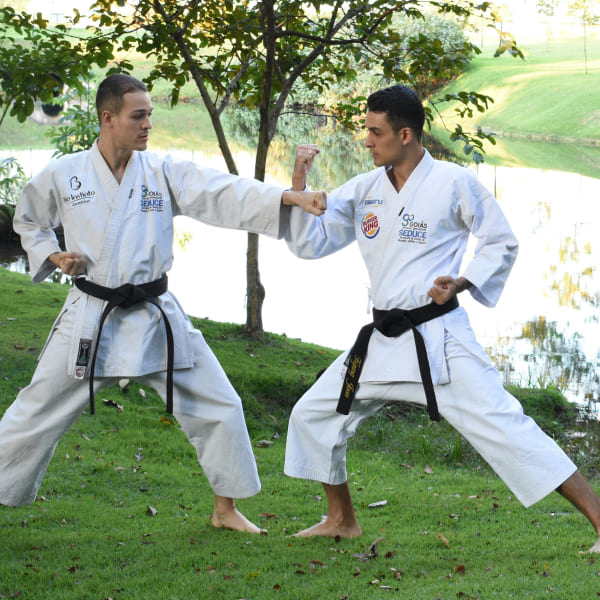 Martial Arts